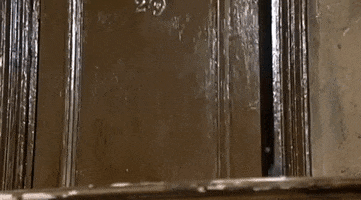 Weirdos GIF
