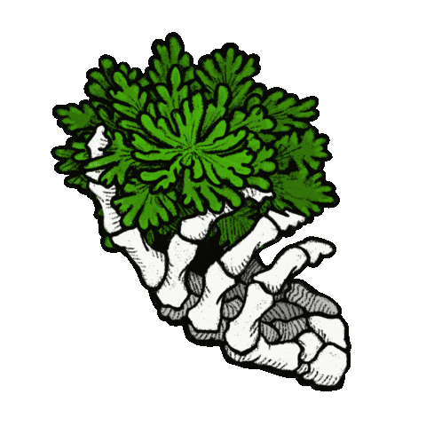 Plant Sticker