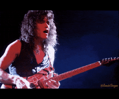 Pamela Chougne Van Halen De Poney GIF