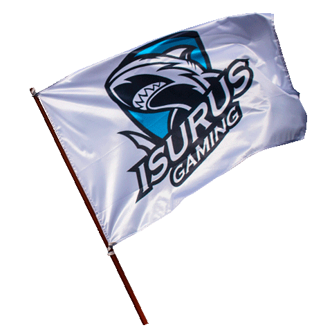 Flag Sticker
