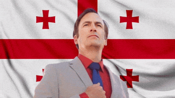 Saul Goodman Georgia GIF