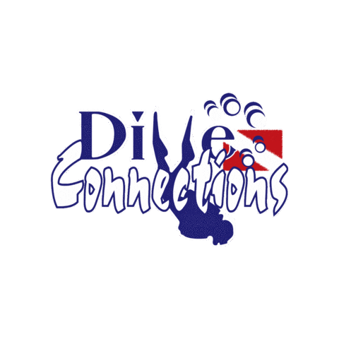 Dive Connections Sticker