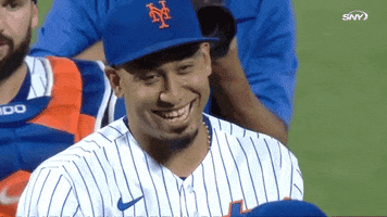 Happy New York Mets GIF by SNY
