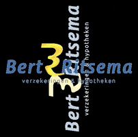 Bert Ritsema Verzekeringen & Hypotheken GIF