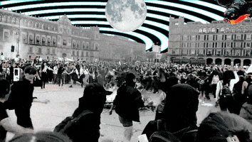 Vivasnosqueremos GIF