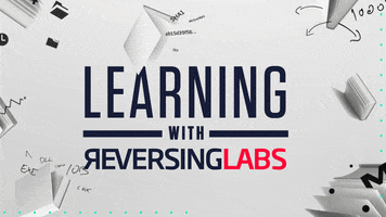 ReversingLabs school learning knowledge cybersecurity GIF