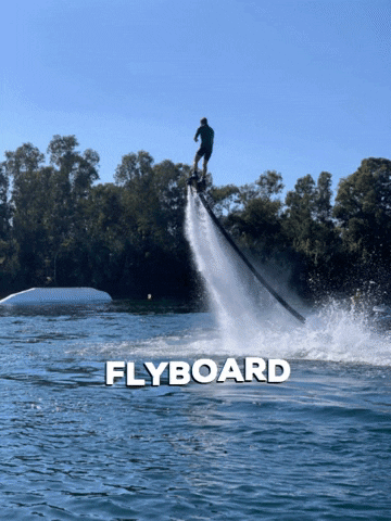 Flyboard GIF by davide de matteo