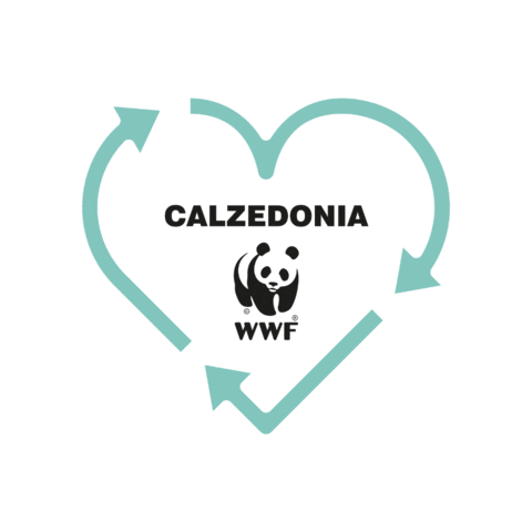 Sticker by Calzedonia