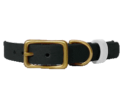 Dog Collar Sticker by Paws Of Kow