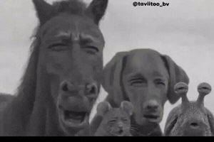 Surprised Shock GIF