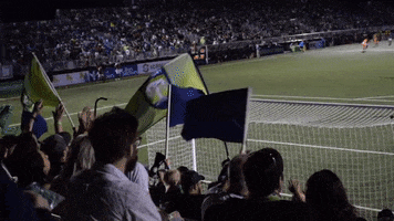 GVLTriumph soccer usl flags greenville GIF