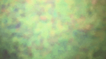 Phem GIF