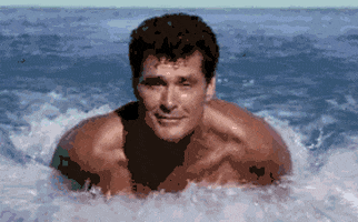 Roast Of David Hasselhoff GIFs - Get the best GIF on GIPHY