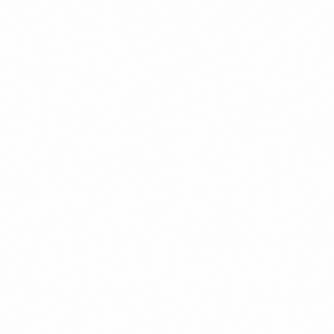 racingby GIF