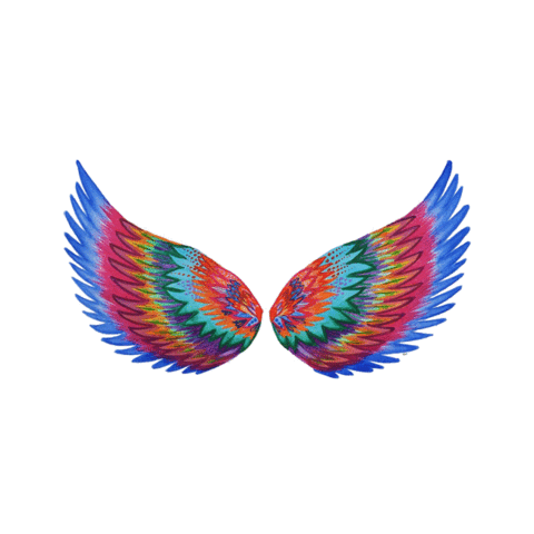 Team Isabella Lombardo Sticker