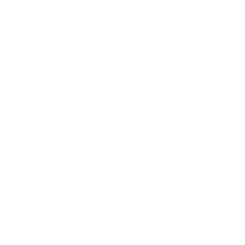 Sunshine Coast Young Chamber of Commerce Sticker