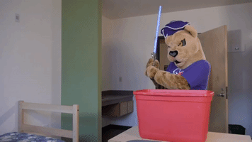 star wars mascot GIF by Linfield College
