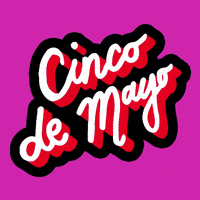 Cinco De Mayo GIF by megan motown