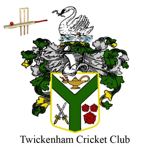 Twickenhamcc GIF by Twickenham Cricket Club