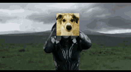 giphy.gif?cid=6c09b952d7a4c296eac718ca99
