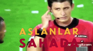 Aslanlarsahada GIF