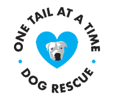 One Tail at a Time Sticker