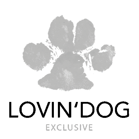 Dog Paw Sticker by LOVIN'DOG