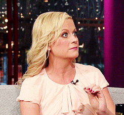amy poehler
