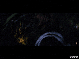 bitch better have my money rihanna GIF by Vevo