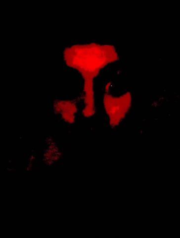 Luis5Spsplit GIF