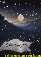 Night Stars GIF by The Seed of Life Foundation