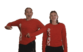 Dance Wave Sticker by Videodynamics