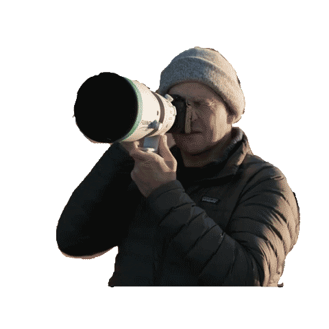 Fujifilm Brasil Sticker