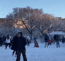 Snow Snowball Fight GIF by GIPHY News
