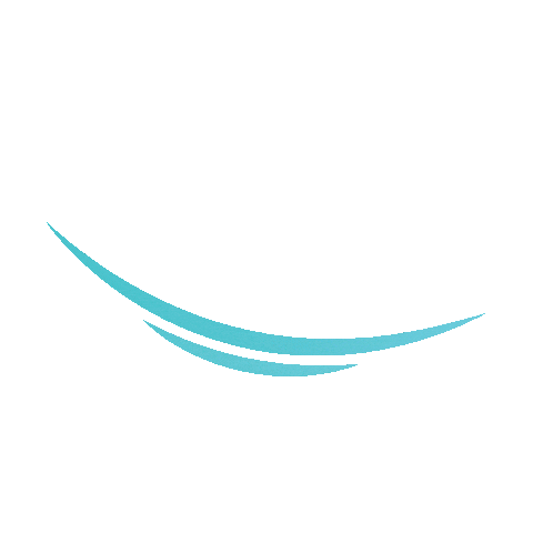 congresultransilvania Sticker