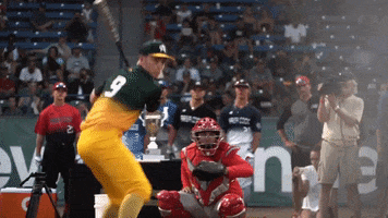 Area Code Baseball GIF