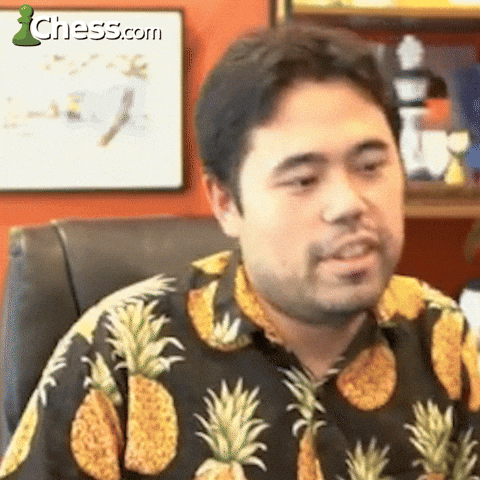 Happy Well Done GIF by Chess.com