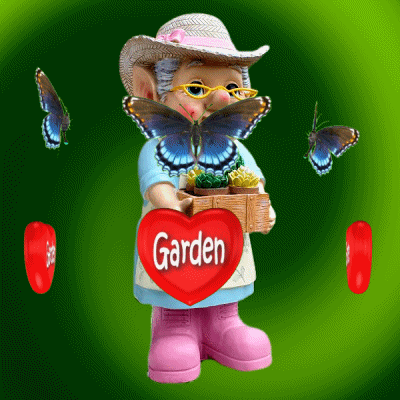 Garden Butterflies GIF