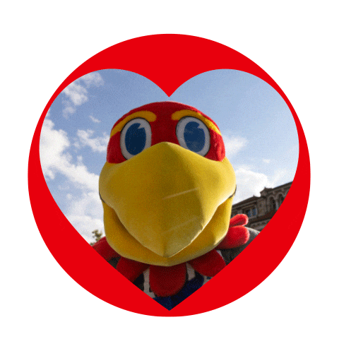 One Day One Ku Sticker by KU Endowment