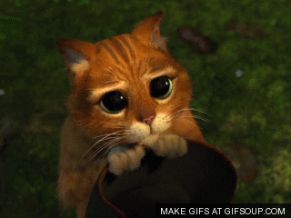 Puss In Boots GIF - Find & Share on GIPHY