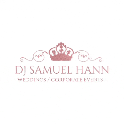 DJ Samuel Hann GIF