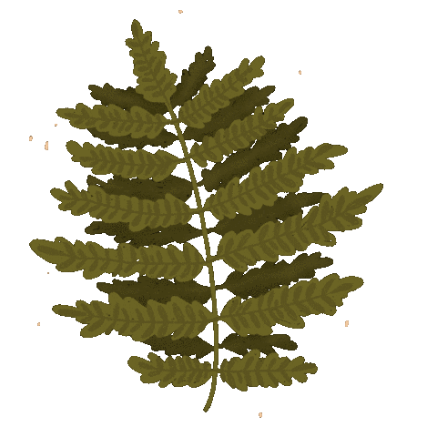 Plant Sticker