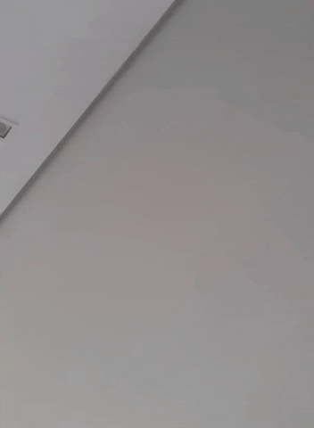 casaiara GIF
