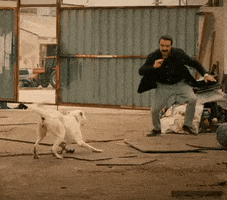 Aggressive Dog GIF