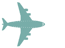 Travel Explore Sticker by Packd Bags