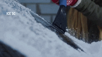 Winter Storm Snow GIF by PBS Digital Studios