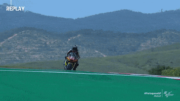 Out Of Control Wow GIF by MotoGP