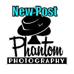 Logo Bounce Sticker by Phantom Photography