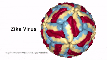 broad institute virus GIF by MIT 