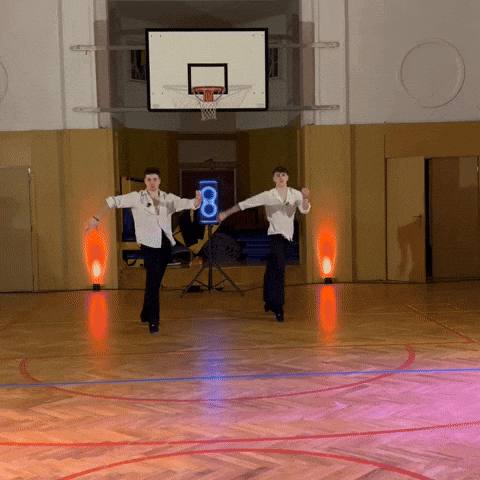 Dancebros Taneček GIF by DanceBros